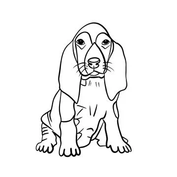 Vector sketch hand drawn beagle puppy, doodle style with black lines Stock Illustration