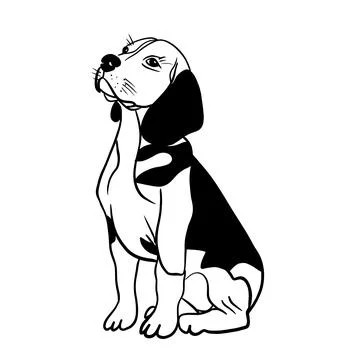 Vector sketch hand drawn beagle dog, doodle style with black lines Stock Illustration