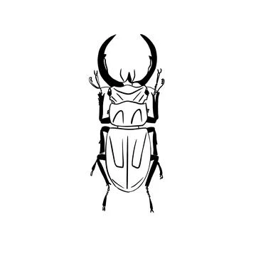 Vector sketch hand drawn beetle silhouette, doodle art with black lines Stockillustratie