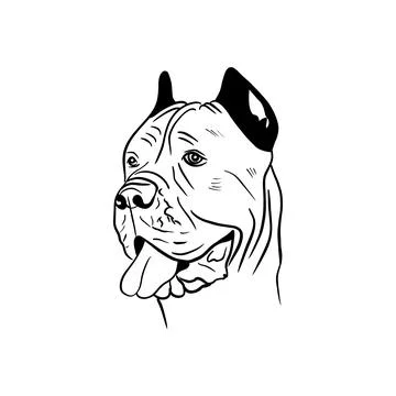 Vector sketch hand drawn cane corso silhouette, line art with black lines Stock Illustration