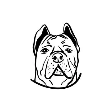Vector sketch hand drawn cane corso silhouette in front view, line art Stock Illustration
