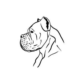 Vector sketch hand drawn cane corso silhouette in profile, line art Stock Illustration