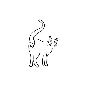 Vector sketch hand drawn cat silhouette with raised tail, line art Stock Illustration