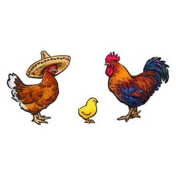 Vector sketch hand drawn chicken set isolated Stock Illustration