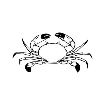 Vector sketch hand drawn crab silhouette, doodle style with black lines Stock Illustration