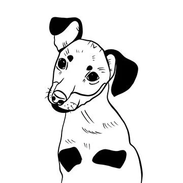 Vector sketch hand drawn dachshund puppy, doodle style with black lines Stock Illustration