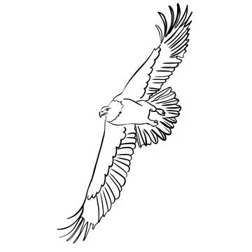 Vector sketch hand drawn eagle in flight, line art Illustrazione stock