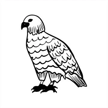 Vector sketch hand drawn eagle silhouette Stock Illustration