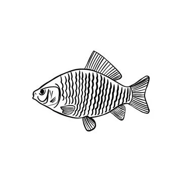 Vector sketch hand drawn fish silhouette, doodle style with black lines Illustrazione stock