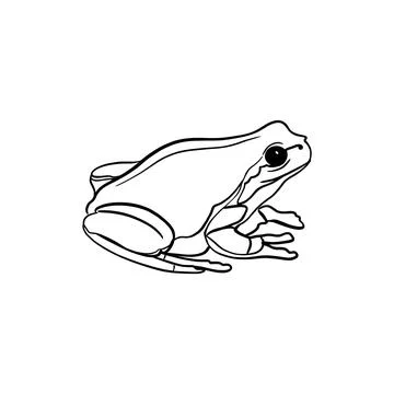 Vector sketch hand drawn frog silhouette, doodle style with black lines Stock Illustration