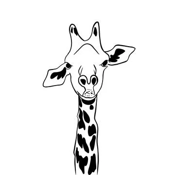 Vector sketch hand drawn giraffe silhouette,line art Illustrazione stock