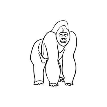Vector sketch hand drawn gorilla silhouette, line art Stock Illustration