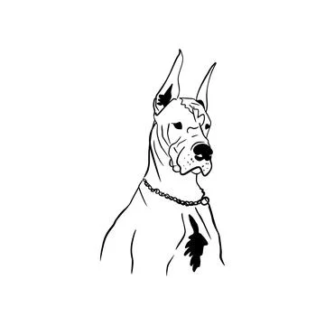 Vector sketch hand drawn Great Dane silhouette, line art Stock Illustration