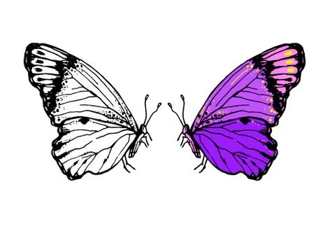 Vector sketch hand drawn illustration of butterflies with folded wings Illustrazione stock