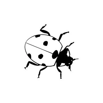 Vector sketch hand drawn ladybug silhouette, doodle art Stock Illustration