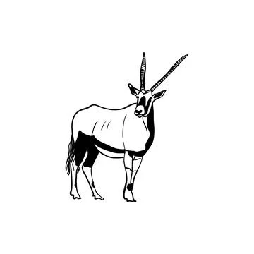 Vector sketch hand drawn mountain goat silhouette, doodle art with black lines Stock Illustration