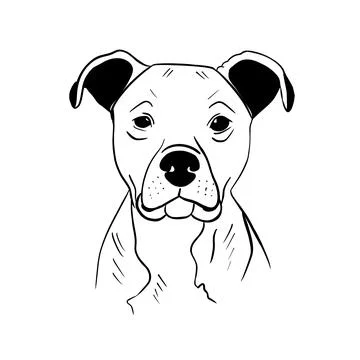Vector sketch hand drawn pit bull silhouette, doodle style with black lines Stock Illustration