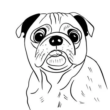 Vector sketch hand drawn pug puppy, doodle style with black lines Stock Illustration