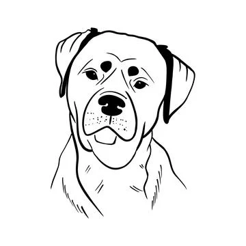 Vector sketch hand drawn Rottweiler silhouette, doodle style with black lines Stock Illustration