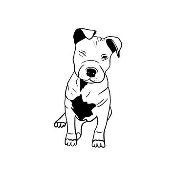Vector sketch hand drawn silhouette of a pit bull puppy, doodle style Stock Illustration