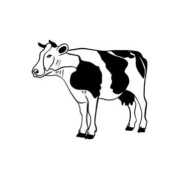Vector sketch hand drawn silhouette of a cow, doodle style with black lines Stock Illustration