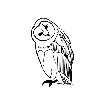 Vector sketch hand drawn silhouette of sitting owl with tilted head Stock Illustration