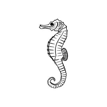 Vector sketch hand drawn silhouette of a seahorse, doodle art Stock Illustration