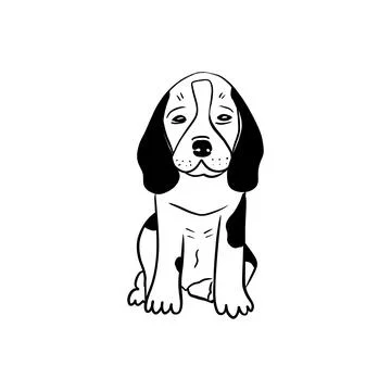 Vector sketch hand drawn silhouette of a sitting beagle puppy,doodle art with Stock Illustration