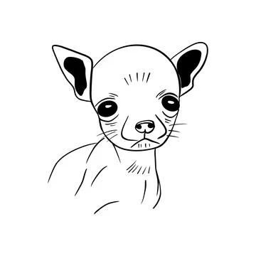 Vector sketch hand drawn silhouette of a sad chihuahua, line art with black.. Stock Illustration