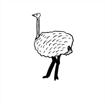 Vector sketch hand drawn silhouette of an ostrich Stock Illustration