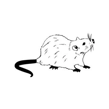 Vector sketch hand drawn silhouette of a mouse, line art Stock Illustration