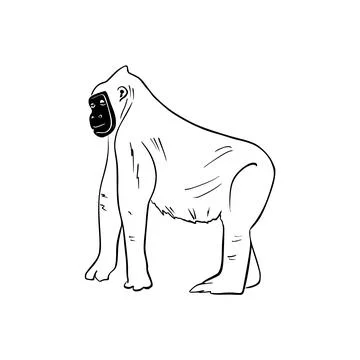 Vector sketch hand drawn silhouette of a gorilla, line art Stock Illustration