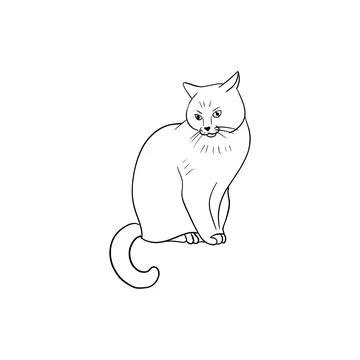 Vector sketch hand drawn sitting cat silhouette, line art Stock Illustration