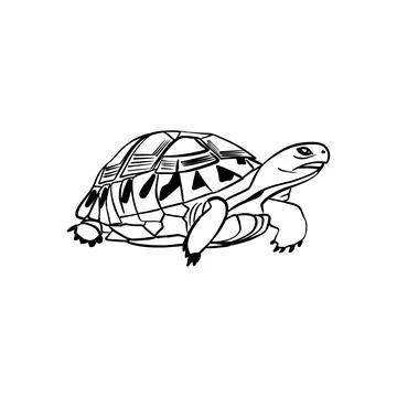 Vector sketch hand drawn turtle silhouette, doodle style with black lines Stock Illustration