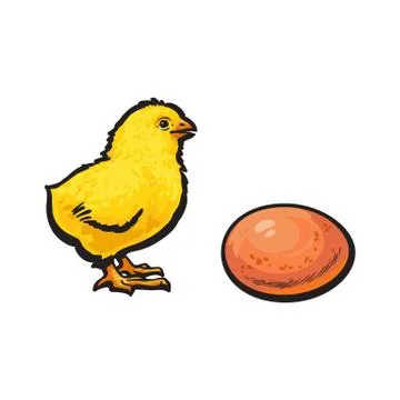 Vector sketch hand drawn yellow chick and egg Stock Illustration