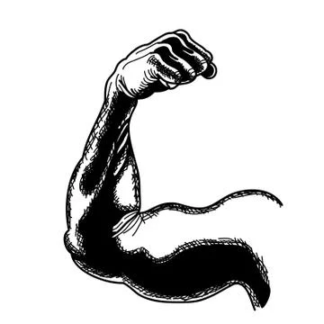 Vector sketch of the hand. Ilustração Stock