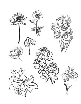 Vector sketch illustration design elements plant doodle flowers Stock Illustration