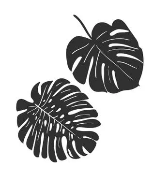 Vector sketch illustration design elements plant tropical leaves Stock Illustration