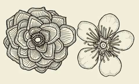 Vector Sketch Illustration Illustrazione stock