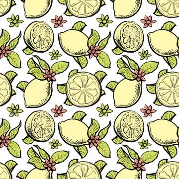Vector sketch lemon slice yellow seamless pattern Illustrazione stock