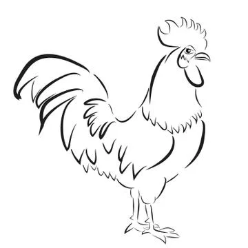 Vector Sketch Outline of Rooster, Isolated on White Illustrazione stock