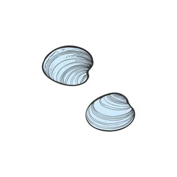 Vector sketch sea shell underwater animal sea food Illustrazione stock