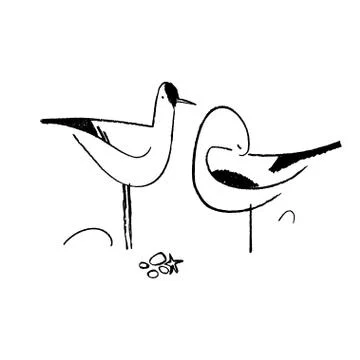 Vector sketch of seagull. Stock Illustration