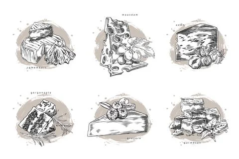Vector sketch set of cheeses with fruits, berries, nuts and leaves. Stock Illustration