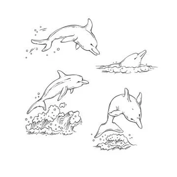 Vector sketch set dolphins jumping dive and swim. Monochrome black sea animals Stock Illustration