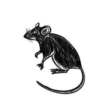 Vector sketch of a small black mouse, black lines Stock Illustration