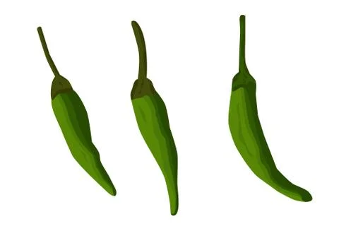 Vector Sketch Three Small Green Chili Иллюстрация