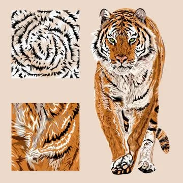 Vector sketch of walks bengal tiger.Textile leo pattern.Animal print. Illustrazione stock