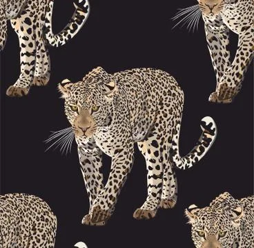 Vector sketch of walks leopard.Seamless leo pattern.Animal print. Stock Illustration