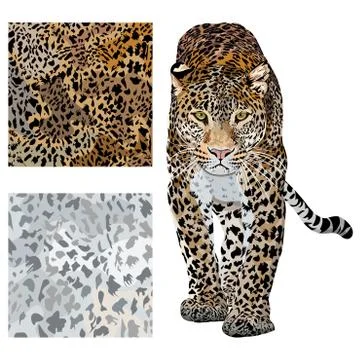 Vector sketch of walks leopard.Seamless leo pattern.Animal skin texture print. 스톡 일러스트